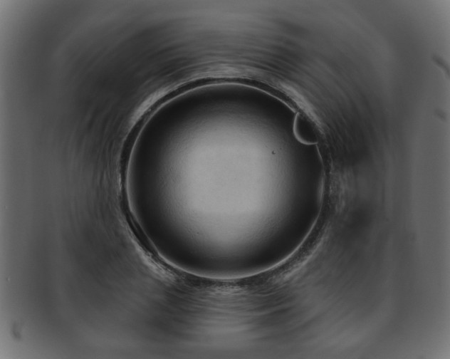 X0000093250837200709261718