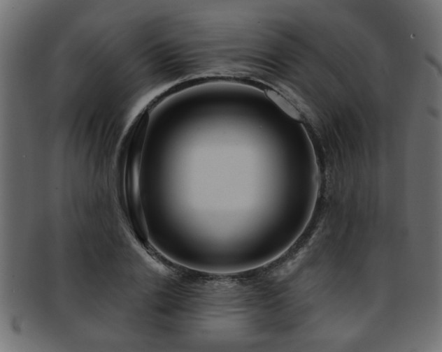 X0000093250838200709261718