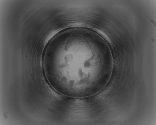 X0000093250839200709261718