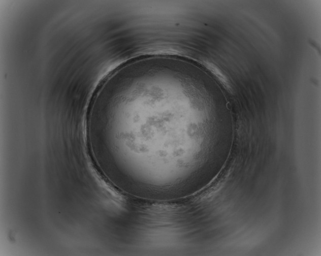 X0000093250840200709261718