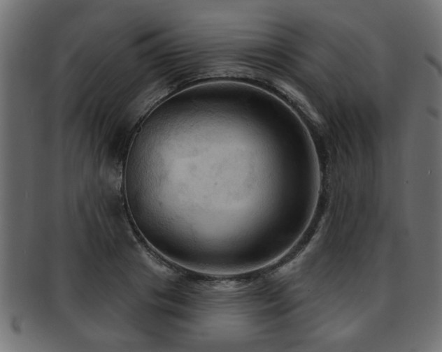 X0000093250841200709261718