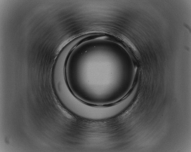 X0000093250842200709261718