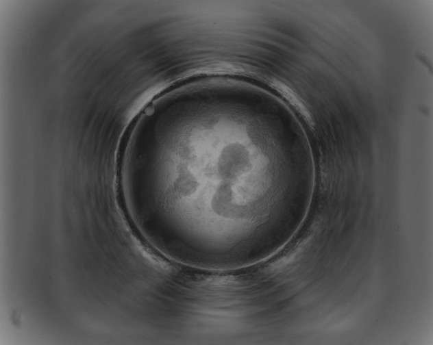 X0000093250845200709261718