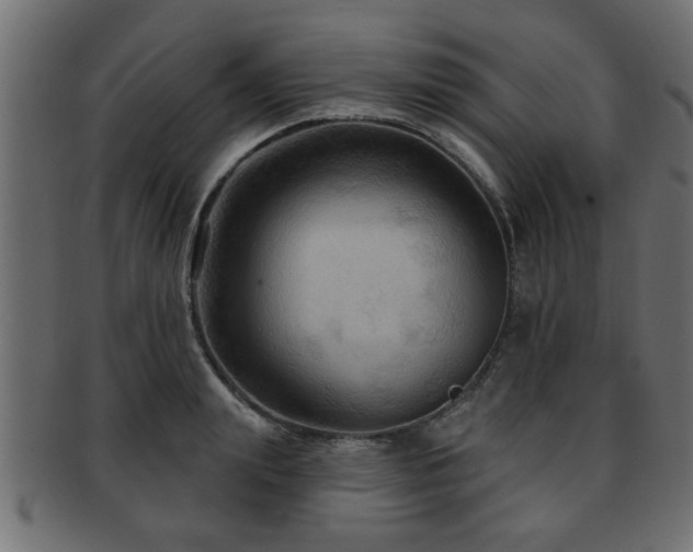 X0000093250847200709261718