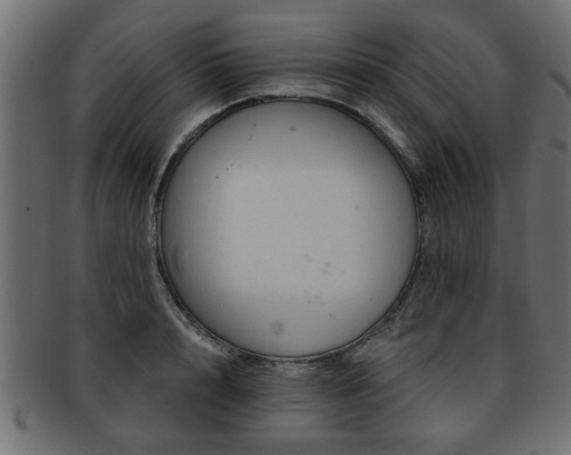 X0000093250848200709261718