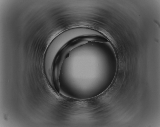 X0000093250850200709261718