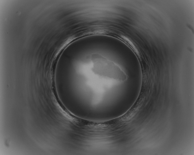 X0000093250851200709261718