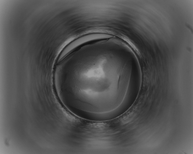 X0000093250853200709261718