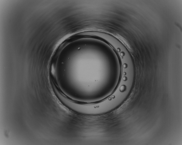 X0000093250854200709261718