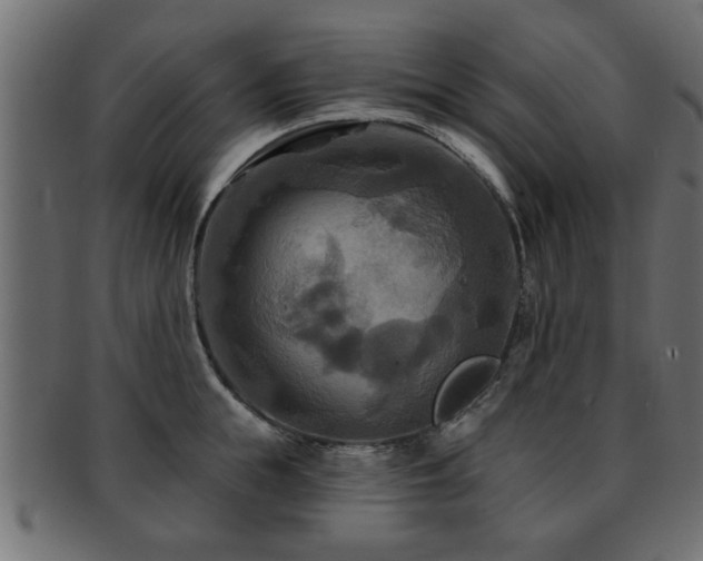 X0000093250855200709261718