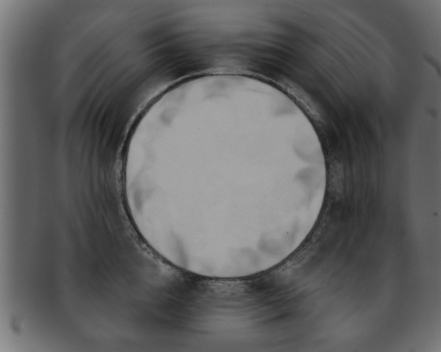 X0000093250856200709261718