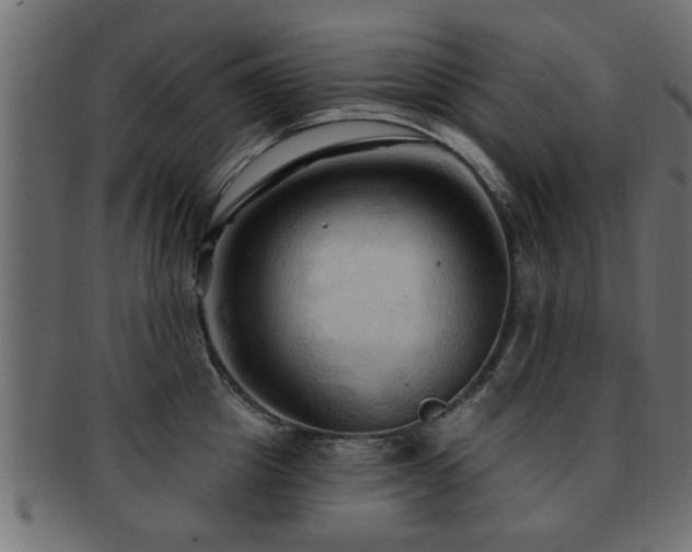 X0000093250857200709261718