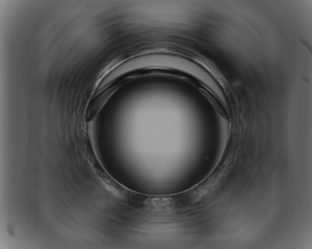X0000093250858200709261718