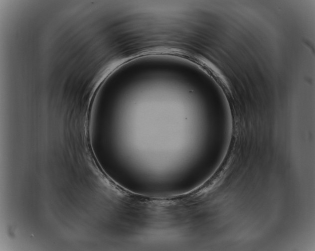 X0000093250860200709261718