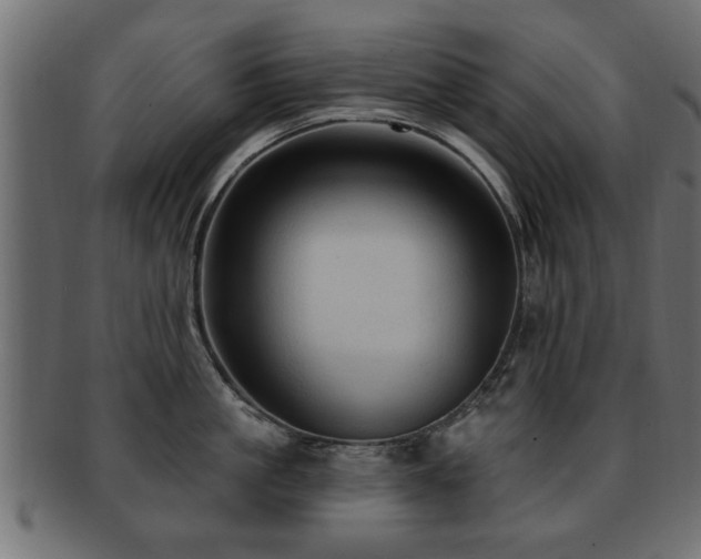 X0000093250861200709261718