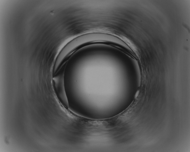 X0000093250862200709261718