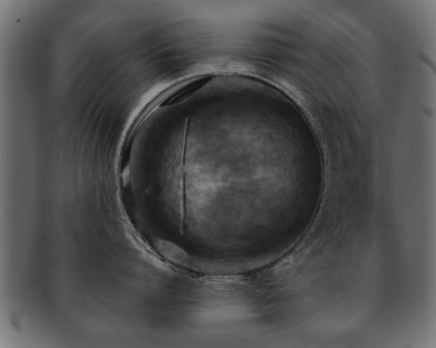 X0000093250864200709261718