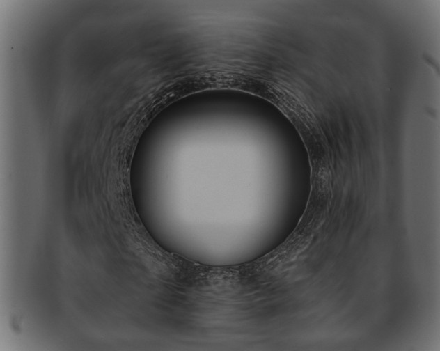 X0000093250865200709261718