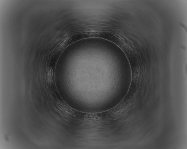 X0000093250866200709261718