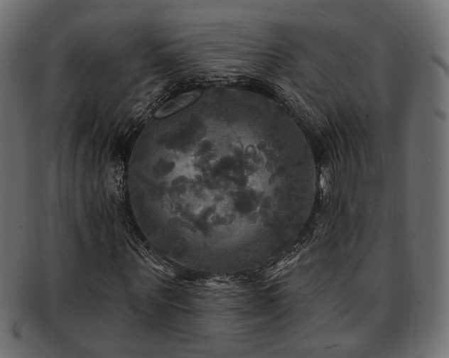 X0000093250867200709261718