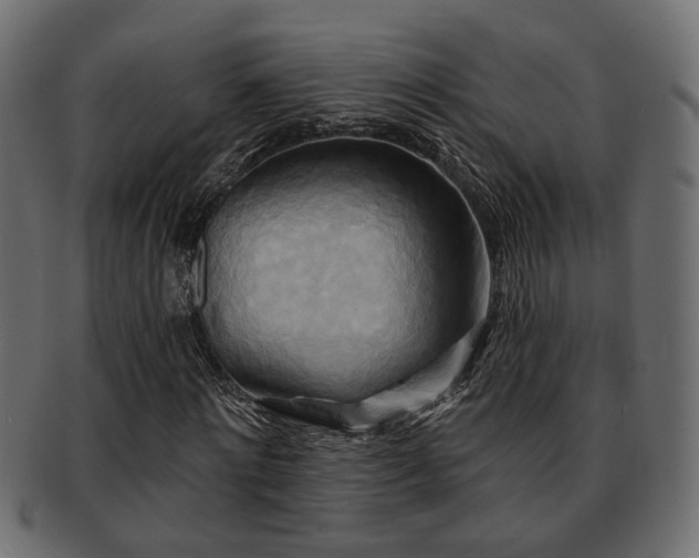 X0000093250868200709261718