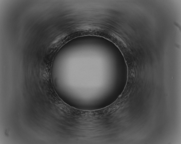 X0000093250869200709261718