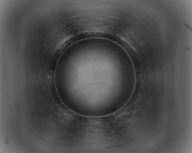X0000093250870200709261717