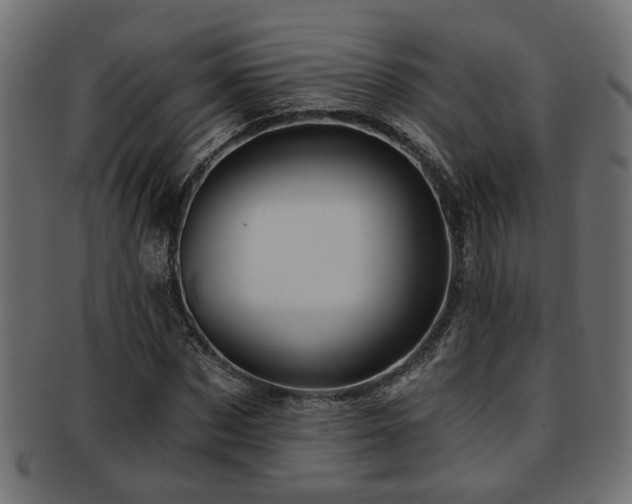X0000093250873200709261717