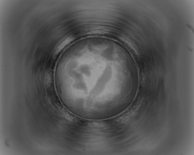 X0000093250874200709261717