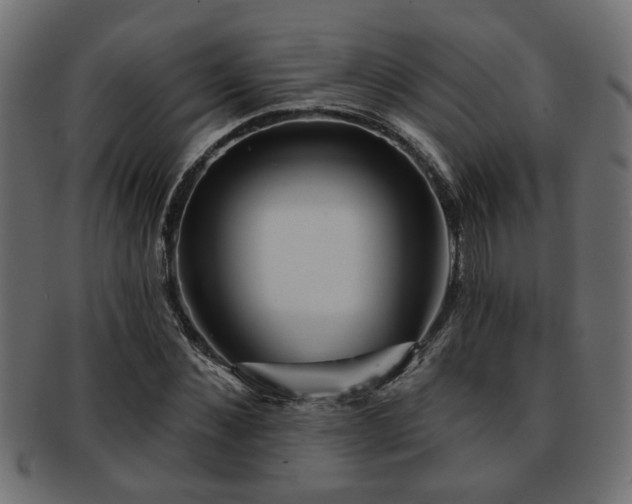 X0000093250876200709261717