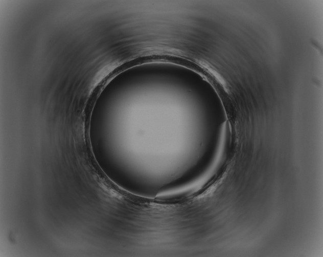 X0000093250877200709261717