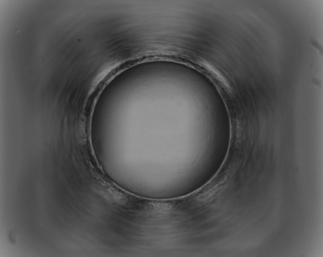 X0000093250878200709261717