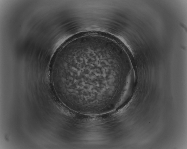 X0000093250879200709261717
