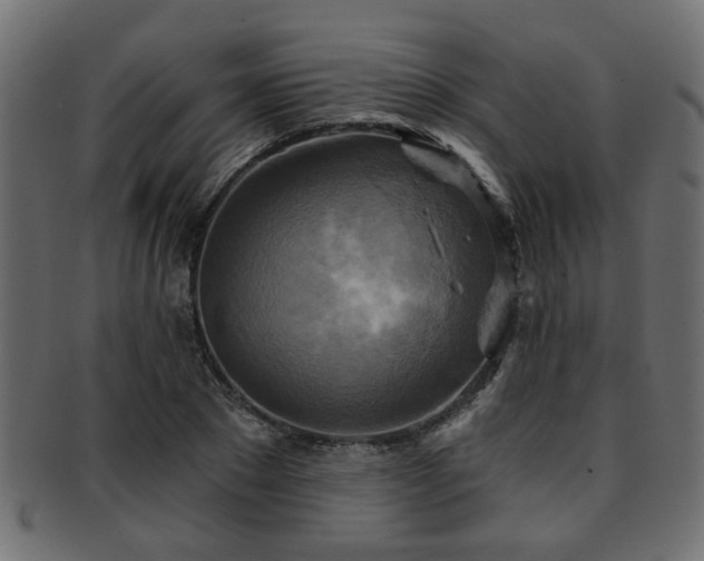 X0000093250881200709261717