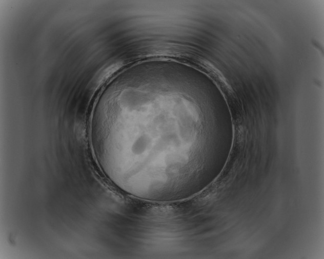 X0000093250882200709261717