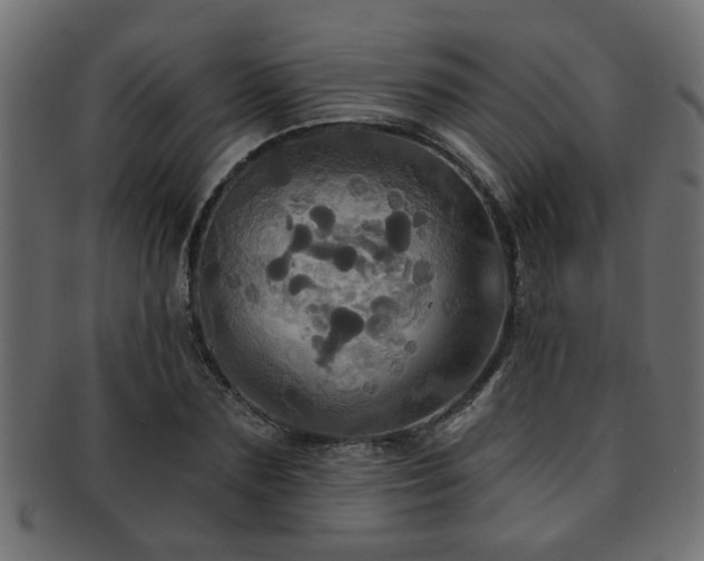 X0000093250883200709261717