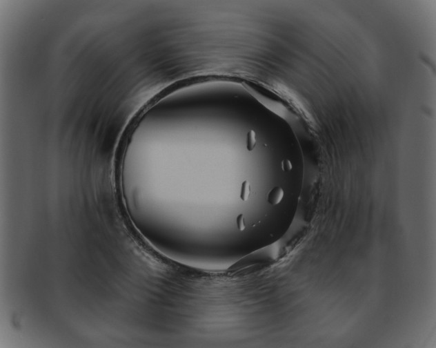 X0000093250884200709261717