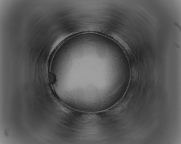 X0000093250886200709261717