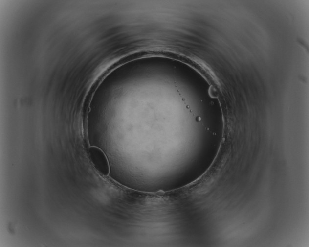 X0000093250887200709261717
