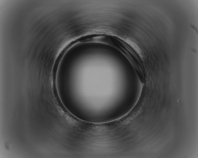 X0000093250888200709261717