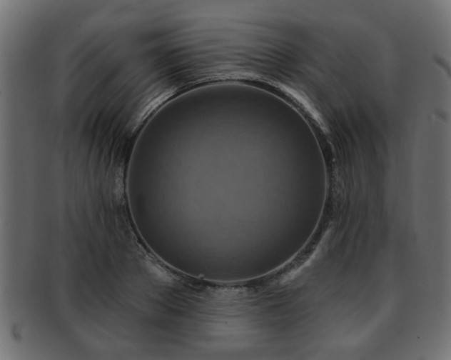 X0000093250889200709261717