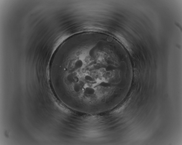 X0000093250891200709261717