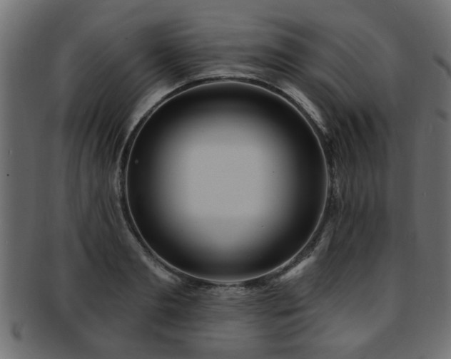 X0000093250893200709261717
