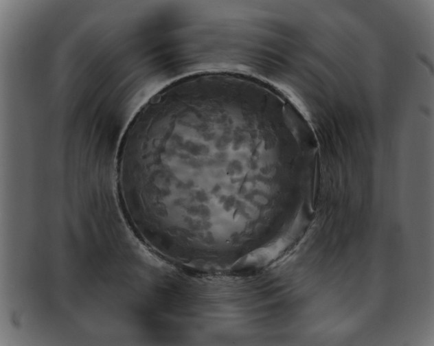X0000093250895200709261717