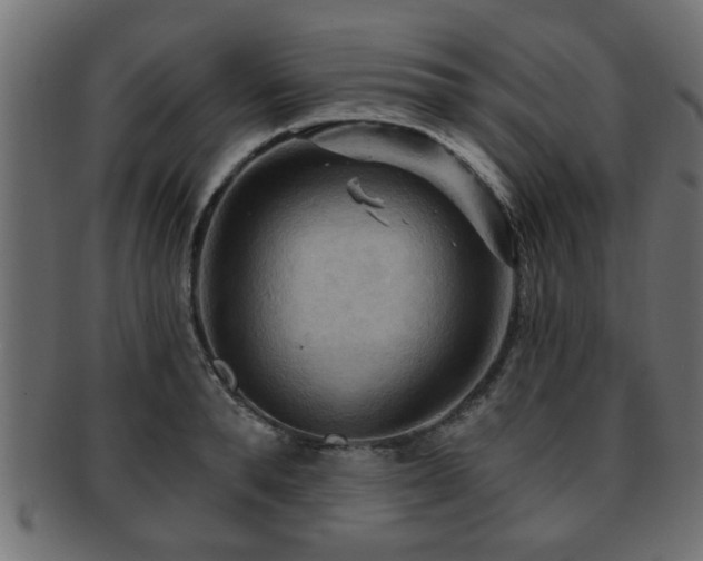 X0000093250896200709261717