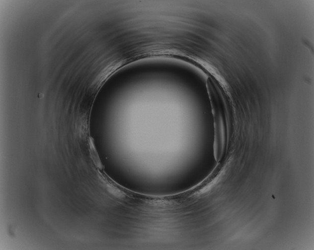 X0000093250897200709261717