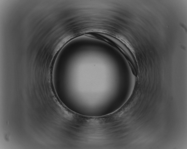 X0000093250898200709261717