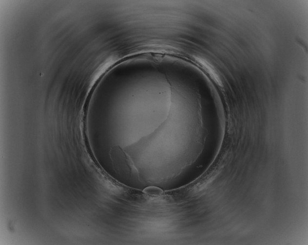 X0000093250899200709261717