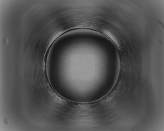 X0000093250900200709261717