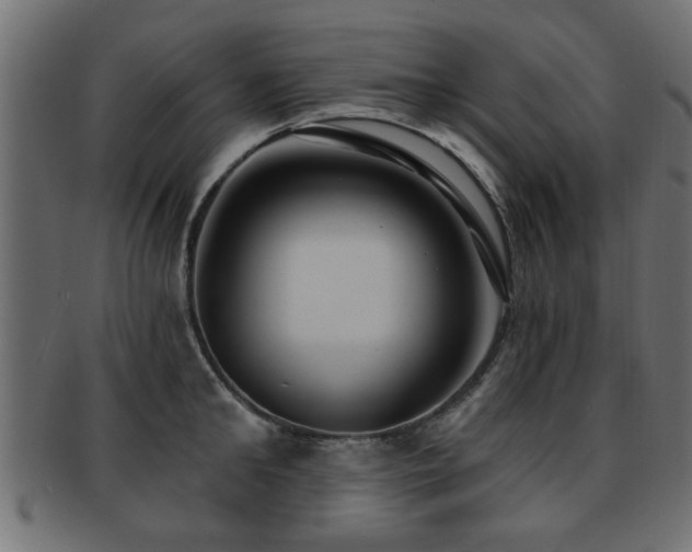X0000093250902200709261717